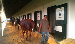 Camden Training Center barn for thoroughbred race horses