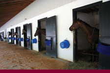 Camden Training Center barn interior