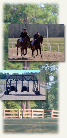 Camden Training Center starting gate